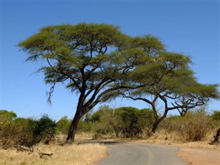 Djibouti vejrudsigt