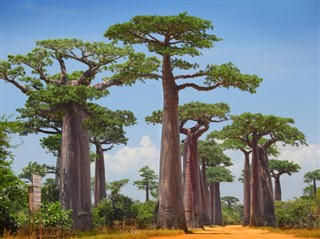 Djibouti vejrudsigt