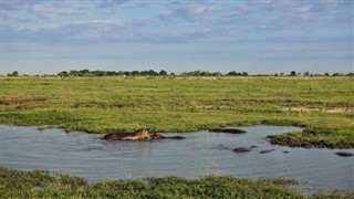 Djibouti prévisions météorologiques