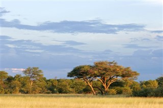 Djibouti prévisions météorologiques