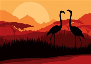 Djibouti pronóstico del tiempo