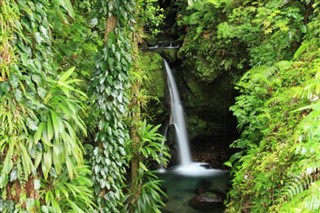 Dominica vejrudsigt