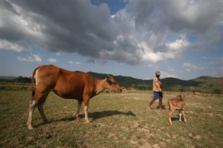 Doğu Timor Hava tahmini