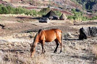 Doğu Timor hava tahmini