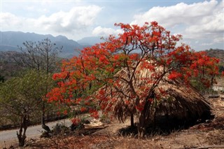 Doğu Timor Hava tahmini
