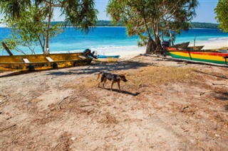 Doğu Timor hava tahmini