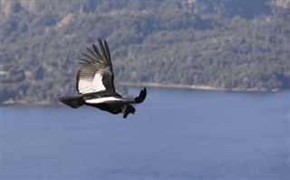 Ecuador vejrudsigt