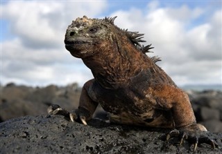 Ecuador vejrudsigt
