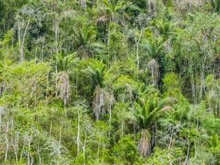 Ecuador vejrudsigt