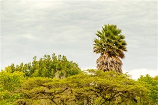 Ecuador vejrudsigt