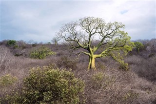 Ecuador vejrudsigt