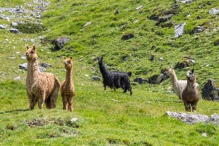 Ecuador sääennuste