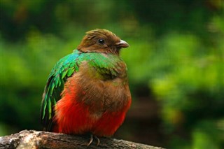 Ecuador időjárás-jelentés