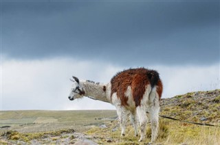 Ecuador Időjárás-jelentés