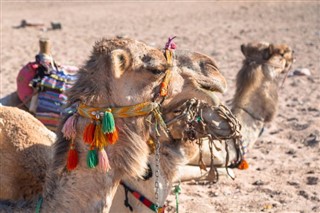 Egypten vejrudsigt