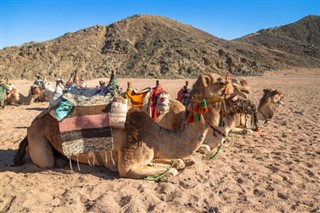 Egypten vejrudsigt