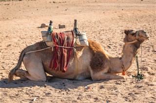 Egypten vejrudsigt