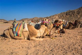 Egypten vejrudsigt