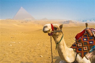 Egypten vejrudsigt