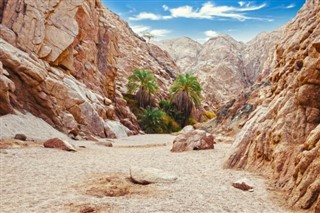 מִצְרַיִם תחזית מזג האוויר