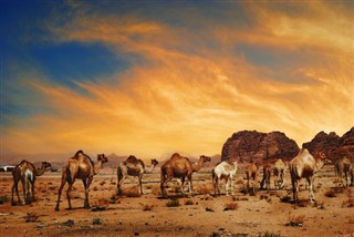 Egypte prévisions météorologiques
