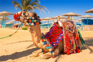 Egypte prévisions météorologiques