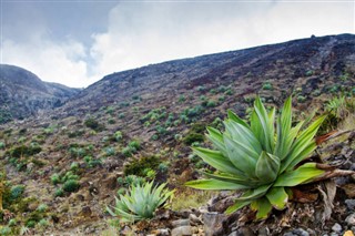 El Salvador hava tahmini