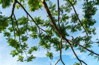 El Salvador hava tahmini