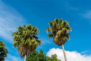 El Salvador hava tahmini