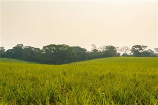 El Salvador hava tahmini