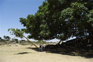 Eritrea vejrudsigt