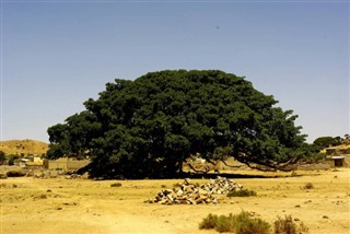 Eritrea vejrudsigt