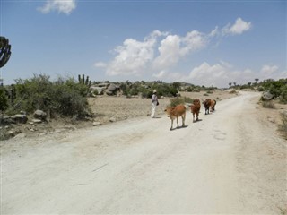 Eritrea időjárás-jelentés