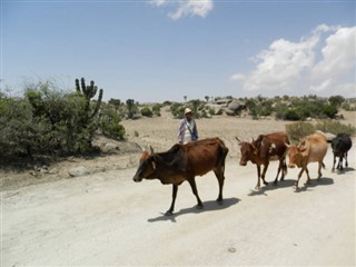 Eritrea időjárás-jelentés