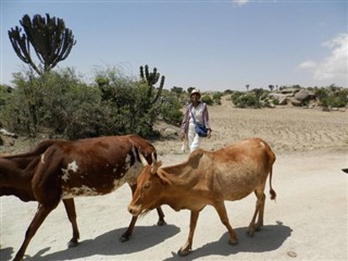 Eritre hava tahmini