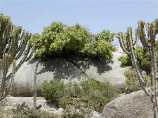 Eritre hava tahmini