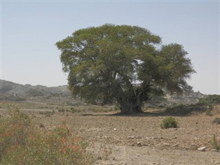 Eritrea vejrudsigt