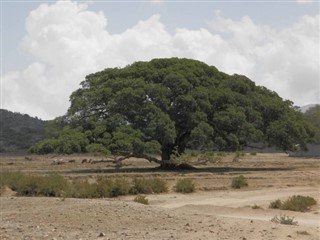Eritre hava tahmini