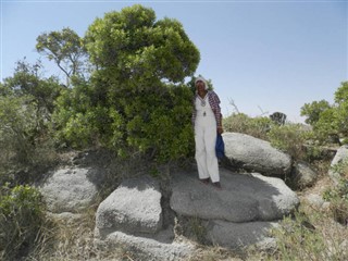 Eritre Hava tahmini