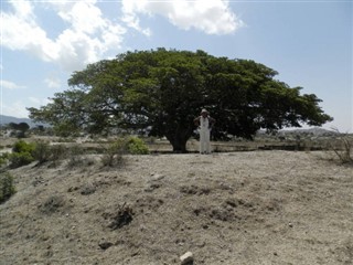 Eritrea vejrudsigt
