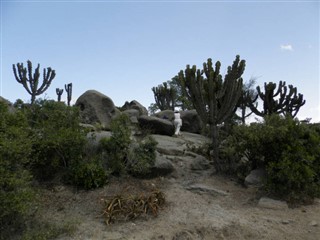 Eritrea vejrudsigt