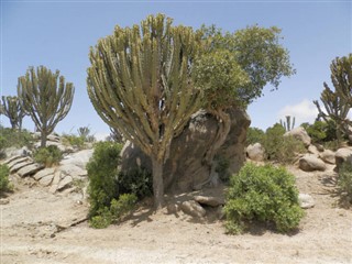 Eritrea vejrudsigt
