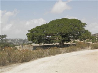 Eritre hava tahmini