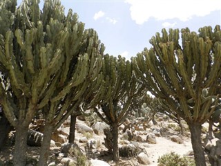 Eritrea időjárás-jelentés