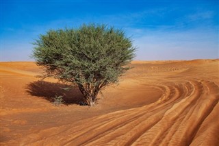 Eritrea vejrudsigt
