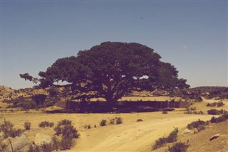 Eritre Hava tahmini