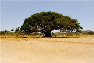 Eritre hava tahmini
