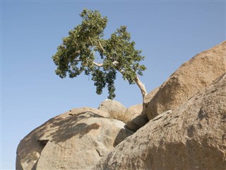 Eritre hava tahmini