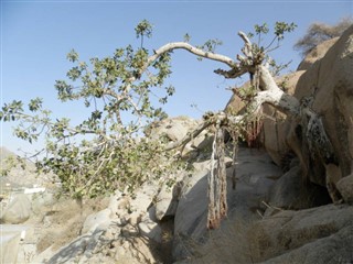Eritrea vejrudsigt