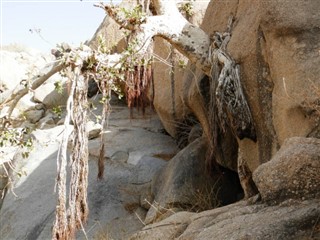 Eritrea vejrudsigt